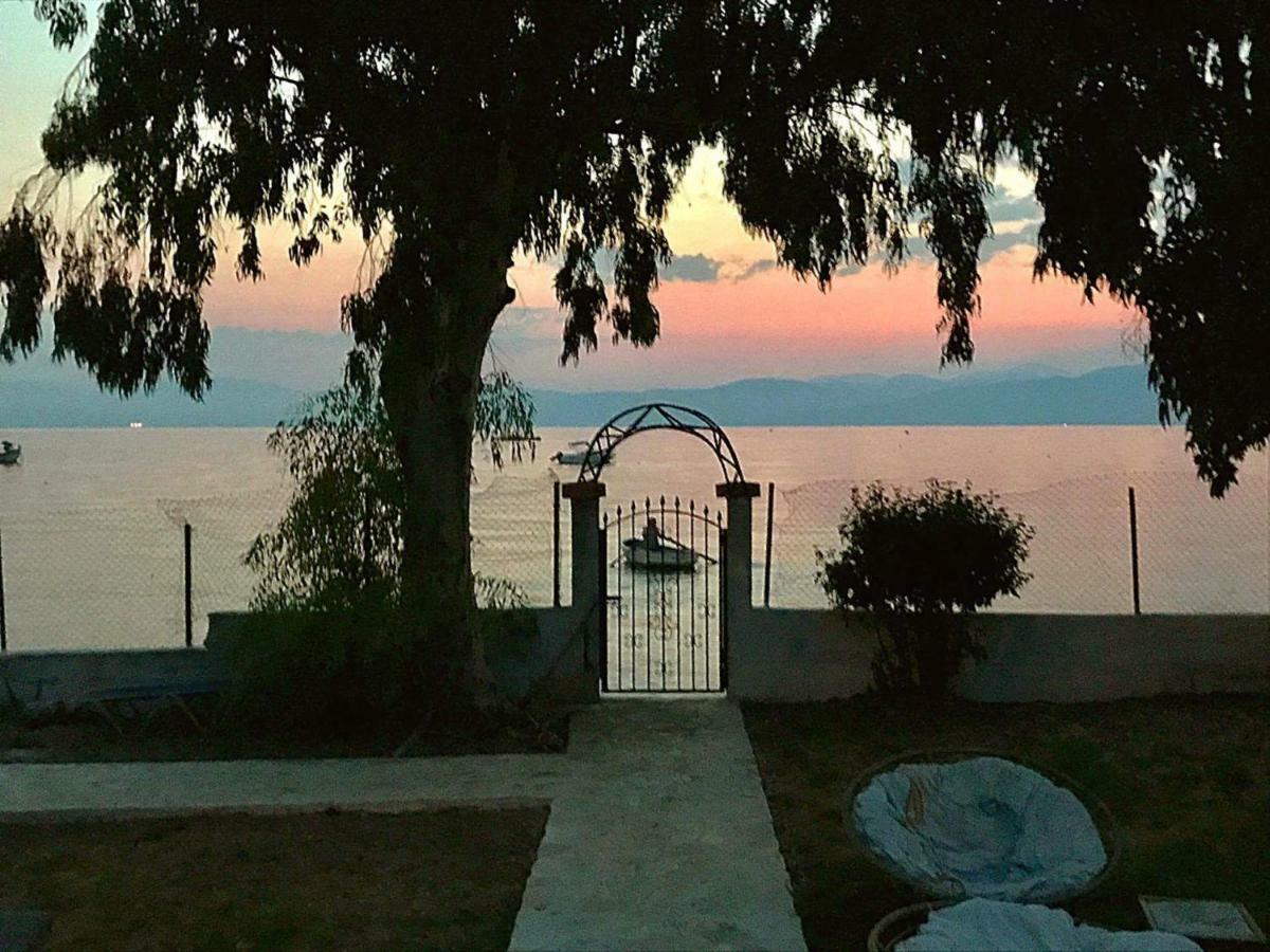 Lemami Seafront Bungalows Κάβος Εξωτερικό φωτογραφία